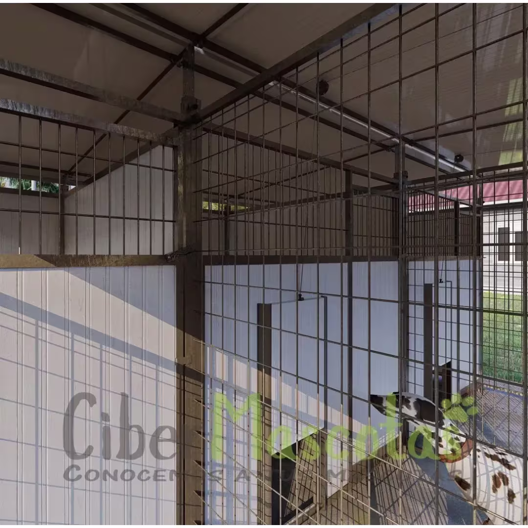 Batería de boxes para residencias caninas | CiberMascotas