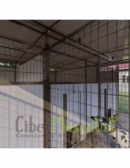 Batería de boxes para residencias caninas | CiberMascotas