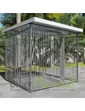 Boxes para perros 2x2 Modelo Adelma