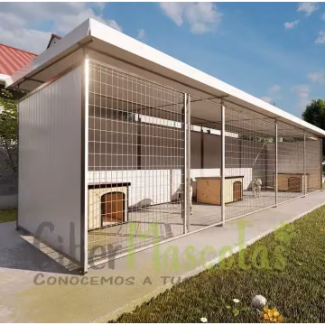 Box para perro Modelo Mallorca 8x2 metros