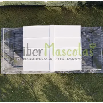 PERROS | CiberMascotas