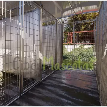 PERROS | CiberMascotas