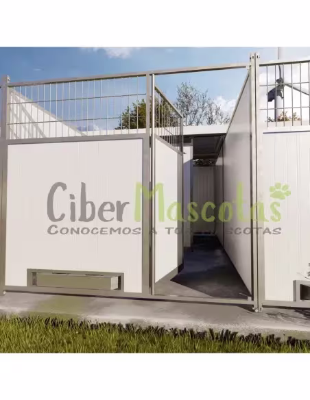 Conjunto 4 Boxes para perros 32 metros