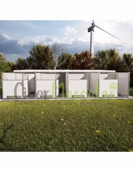 Conjunto 4 Boxes para perros 32 metros