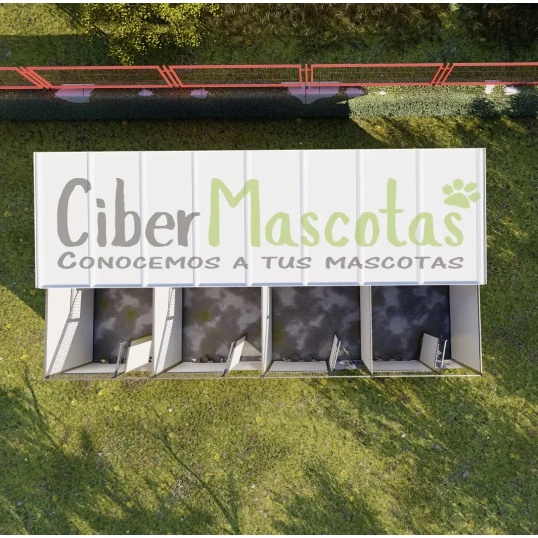 Conjunto 4 Boxes para perros 32 metros