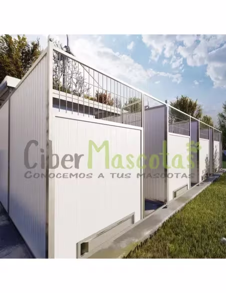 Conjunto 4 Boxes para perros 32 metros