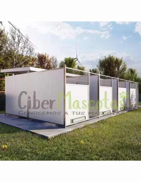 Conjunto 4 Boxes para perros 32 metros