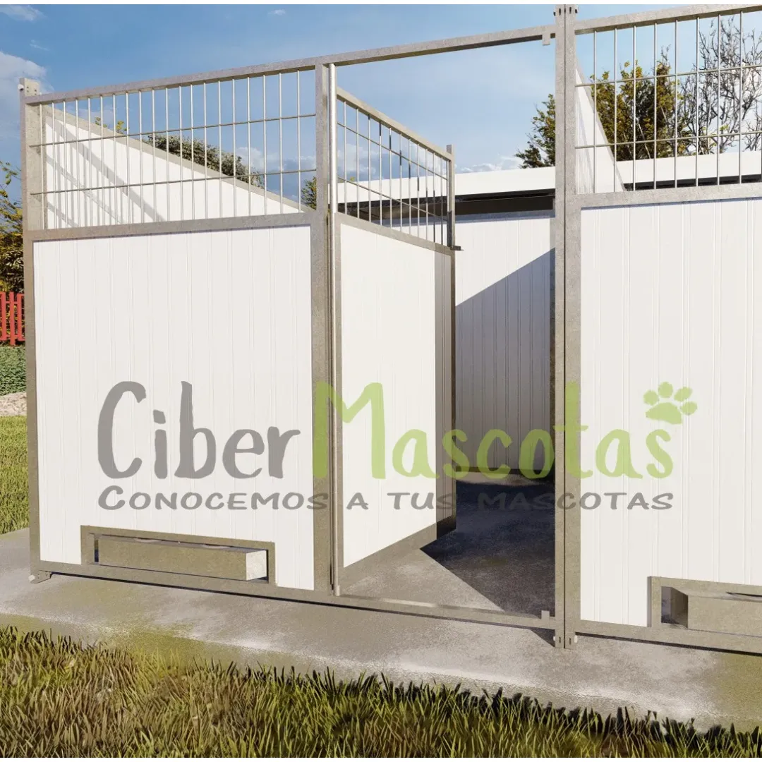 Conjunto 4 Boxes para perros 32 metros
