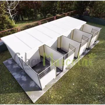 Conjunto 4 Boxes para perros 32 metros