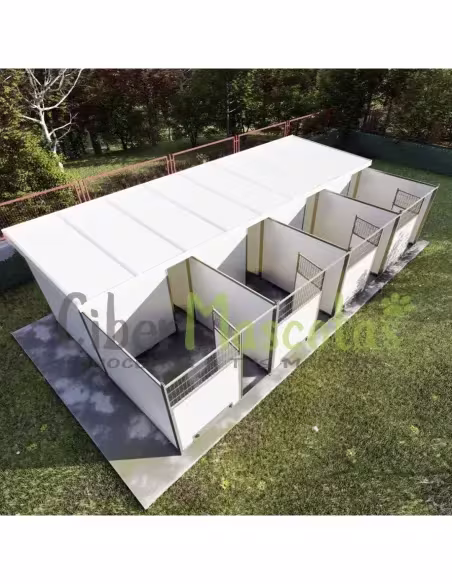 Conjunto 4 Boxes para perros 32 metros