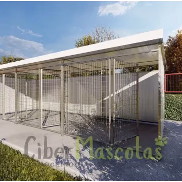 Boxes para perros y perreras | CiberMascotas
