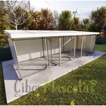 Boxes para perros y perreras | CiberMascotas