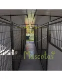 Boxican LUXE 6 Módulos | CiberMascotas
