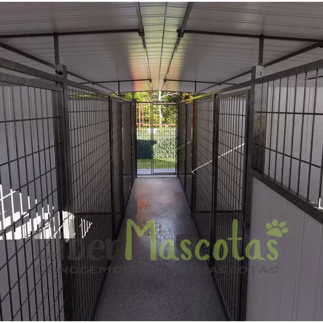 Boxican Luxe para perros | CiberMascotas
