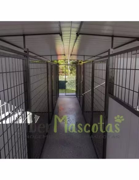 Boxican LUXE 6 Módulos | CiberMascotas