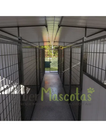 Boxican Luxe para perros | CiberMascotas Boxican Luxe para perros | CiberMascotas