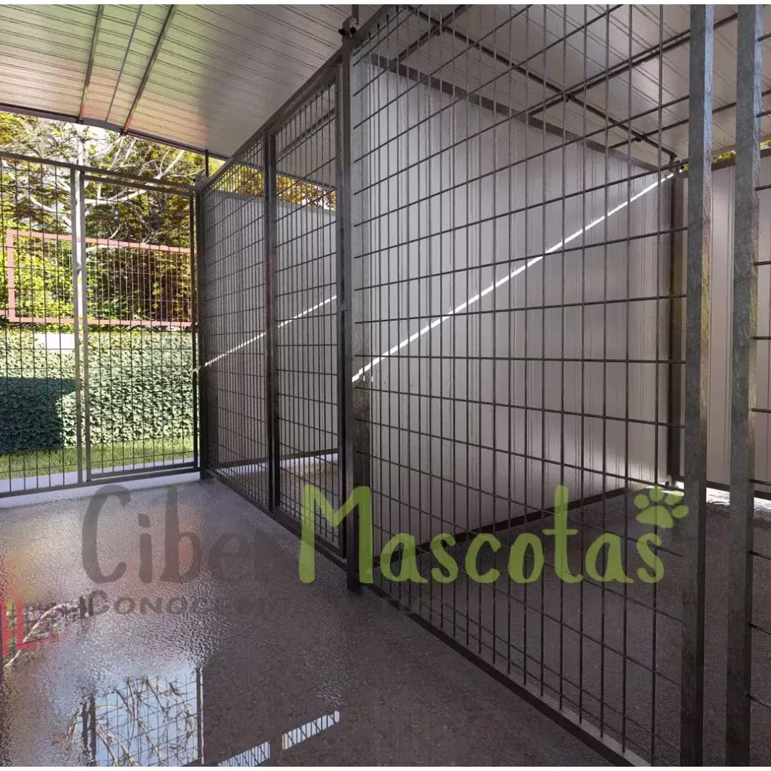 Boxican LUXE 6 Módulos | CiberMascotas