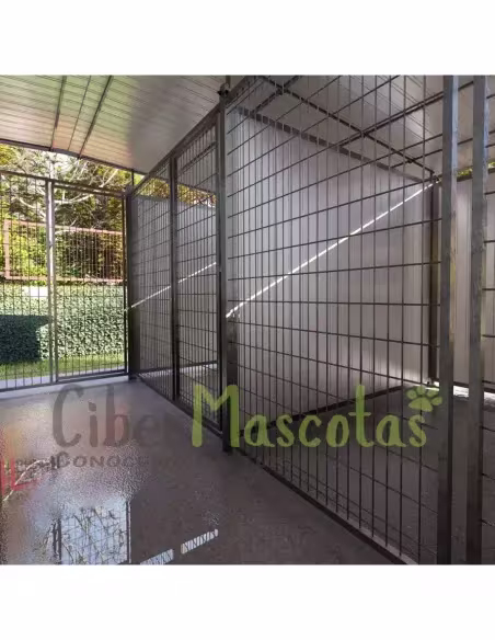Boxican LUXE 6 Módulos | CiberMascotas