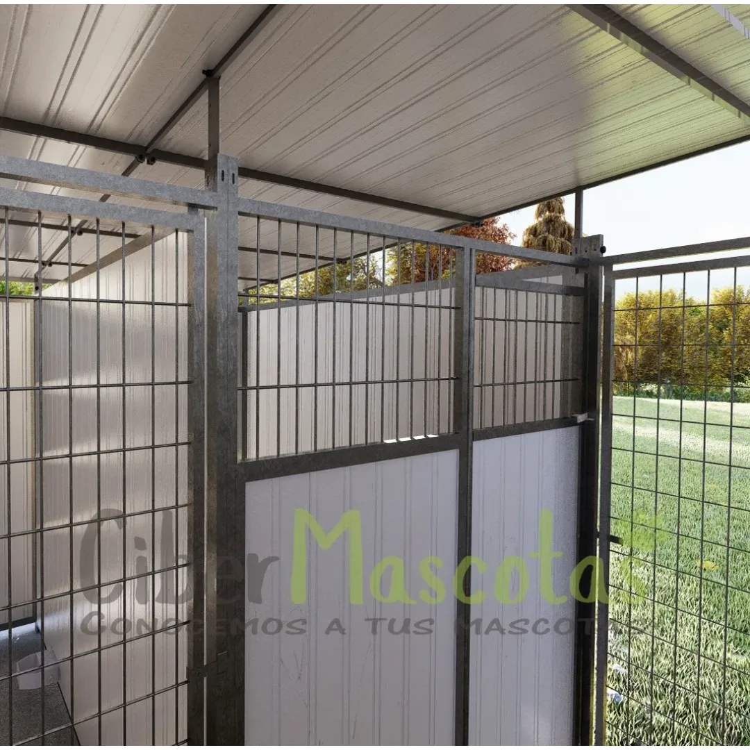 Boxican LUXE 6 Módulos | CiberMascotas