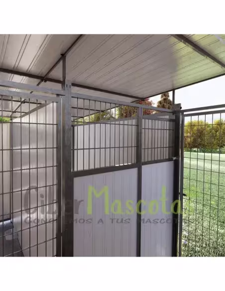 Boxican LUXE 6 Módulos | CiberMascotas