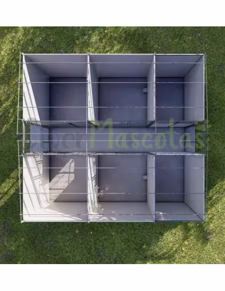 Boxican LUXE 6 Módulos | CiberMascotas