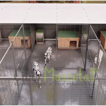 Boxes para perros | Perrera perro 40m2