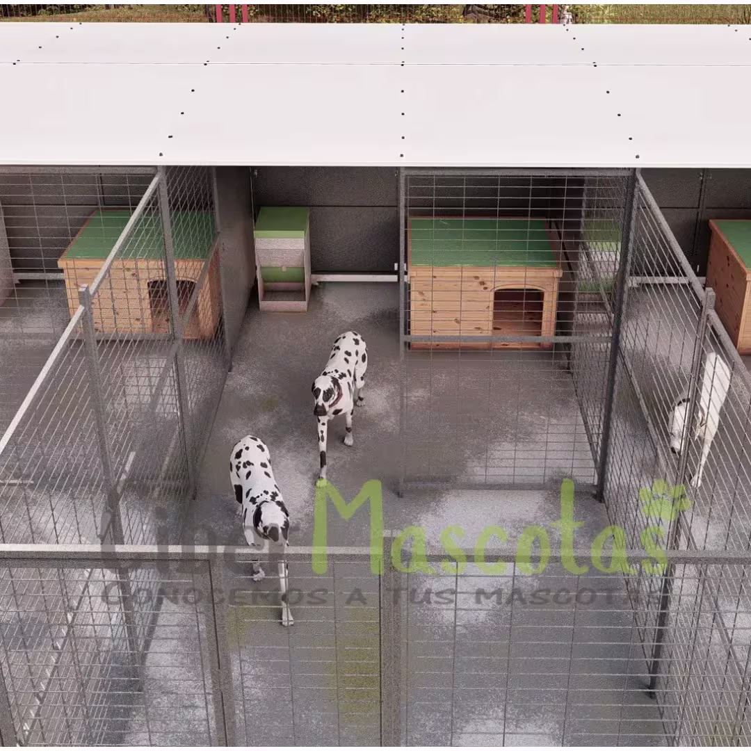 Conjunto 5 boxes para perros 40 m2 | CiberMascotas