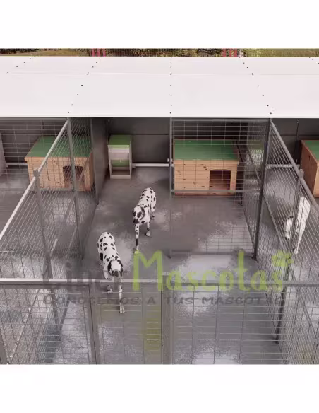 Conjunto 5 boxes para perros 40 m2 | CiberMascotas Conjunto 5 boxes para perros 40 m2 | CiberMascotas
