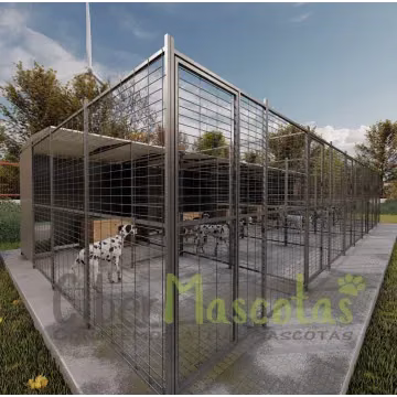 Boxes para perros | Perrera perro 40m2