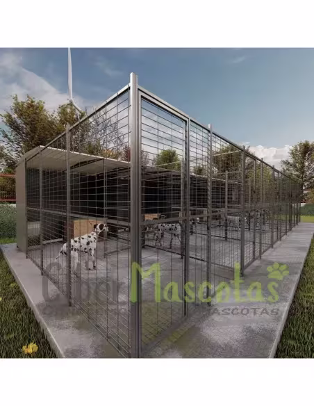 Conjunto 5 boxes para perros 40 m2 | CiberMascotas Conjunto 5 boxes para perros 40 m2 | CiberMascotas
