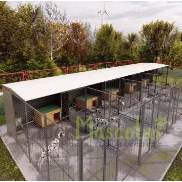 Boxes para perros | Perrera perro 40m2