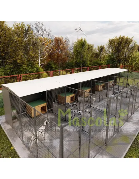 Conjunto 5 boxes para perros 40 m2 | CiberMascotas Conjunto 5 boxes para perros 40 m2 | CiberMascotas