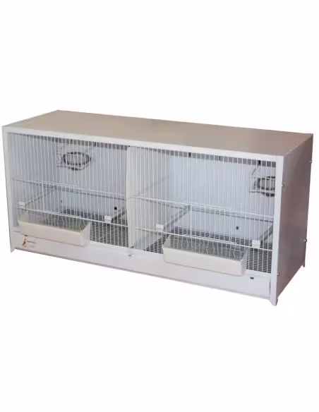 modulos cria canarios