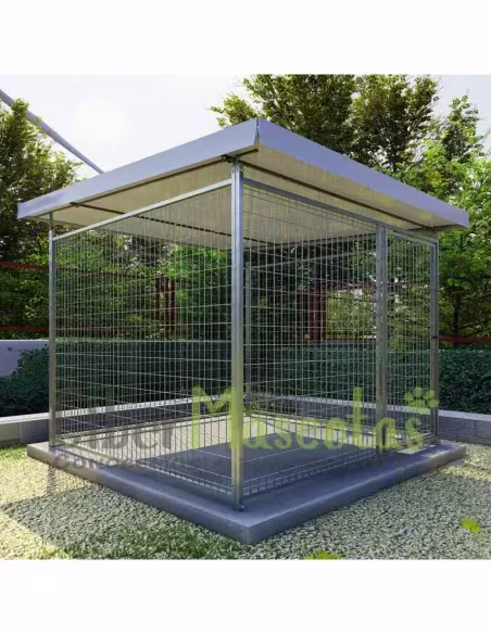 Box de malla 2x2 para perros | CiberMascotas