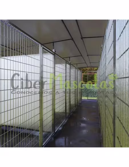 Boxican 10 boxes modelo criador