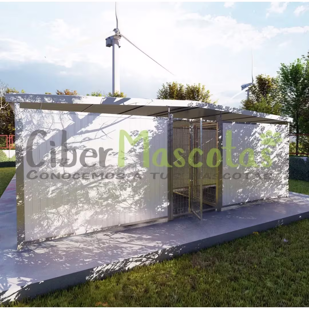 Boxican 10 boxes modelo criador