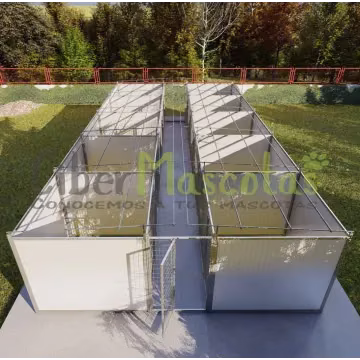 Boxican 10 boxes modelo criador