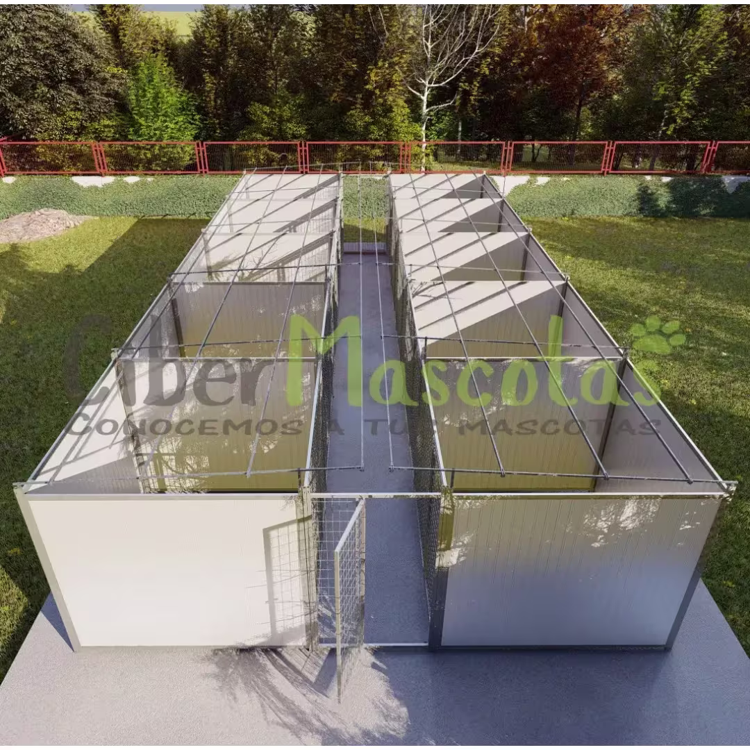 Boxican 10 boxes modelo criador