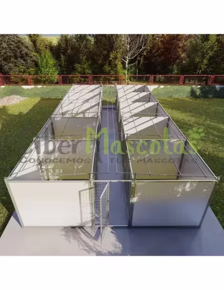 Boxican 10 boxes modelo criador