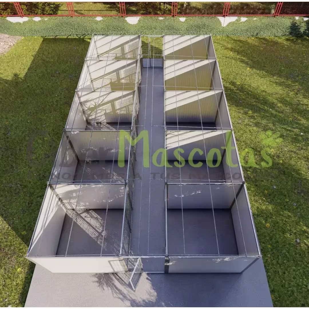 Boxican 10 boxes modelo criador