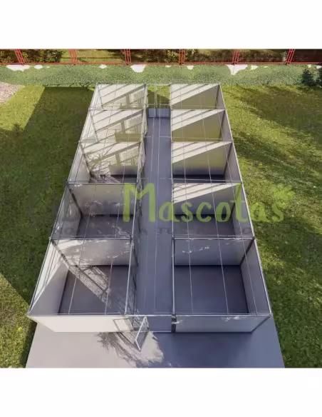 Boxican 10 boxes modelo criador