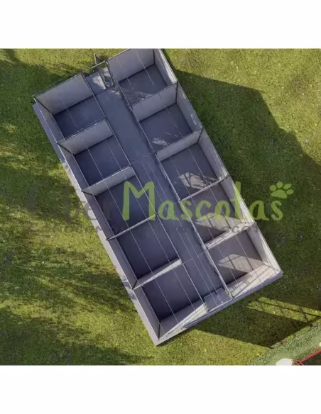 Boxican 10 boxes modelo criador