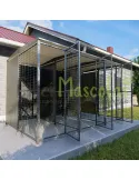 Batería de 3 boxes para perros 2x1