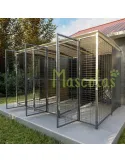 Batería de 3 boxes para perros 2x1