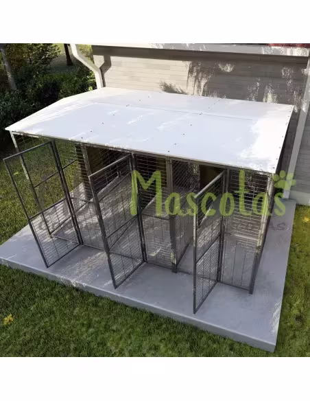 Batería de 3 boxes para perros 2x1