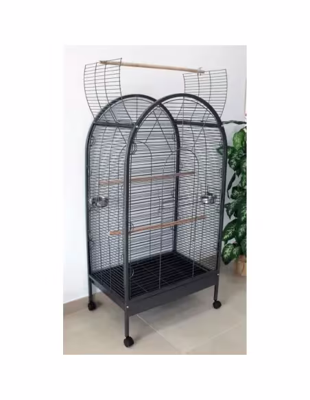 Jaula Loro nº 20