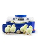 Incubadora Automática Lumia 8 | CiberMascotas