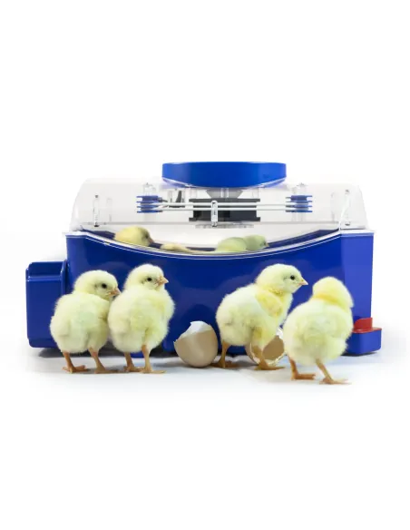 Incubadora Automática Lumia 8 | CiberMascotas