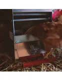Comedero para gallinas con apertura mecánica "Safeed" | CiberMascotas