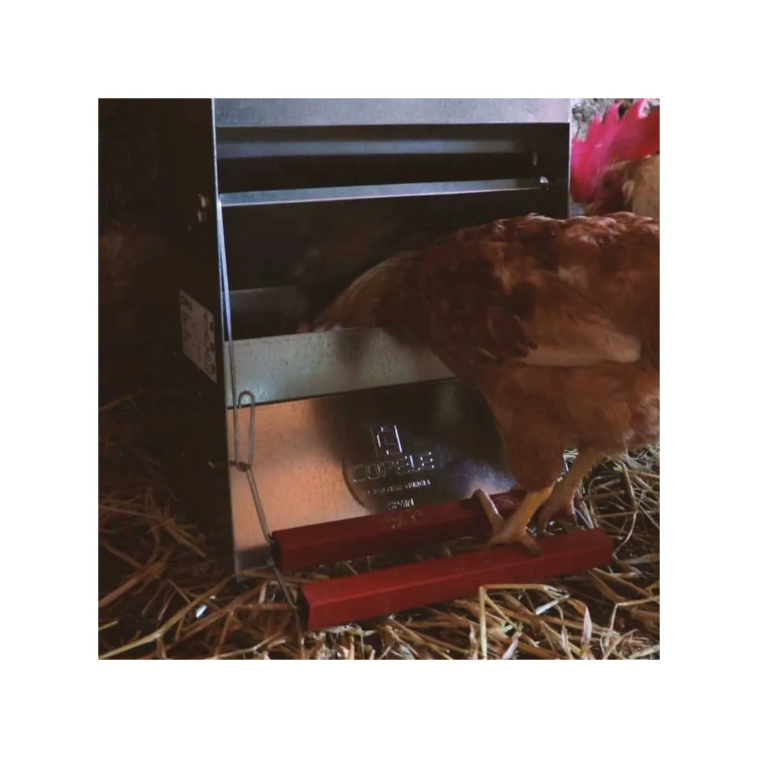 Comedero para gallinas con apertura mecánica "Safeed" | CiberMascotas